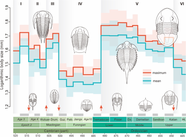 网络配资股票行情 最新研究发现氧含量或是生物体型控制的重要因素