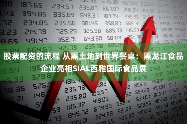 股票配资的流程 从黑土地到世界餐桌：黑龙江食品企业亮相SIAL西雅国际食品展